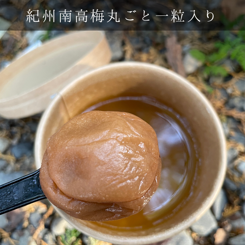 和歌山郷土料理　即席茶粥 おかいさん　