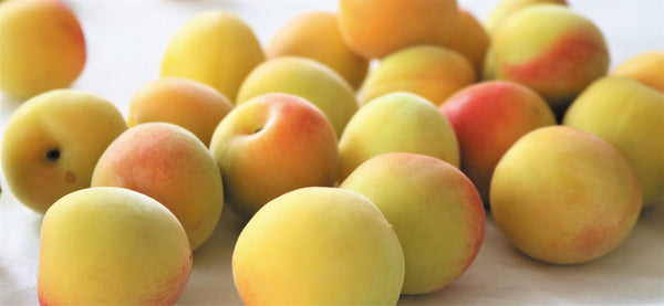 香味梅ドリンク 紀州のしずく梅蜜