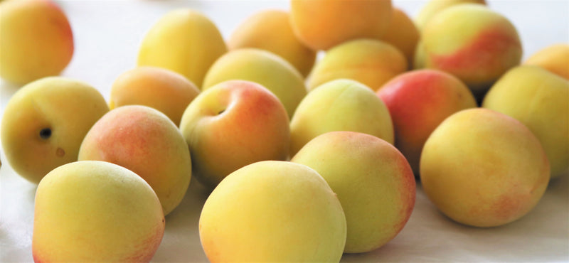 香味梅ドリンク 紀州のしずく梅蜜