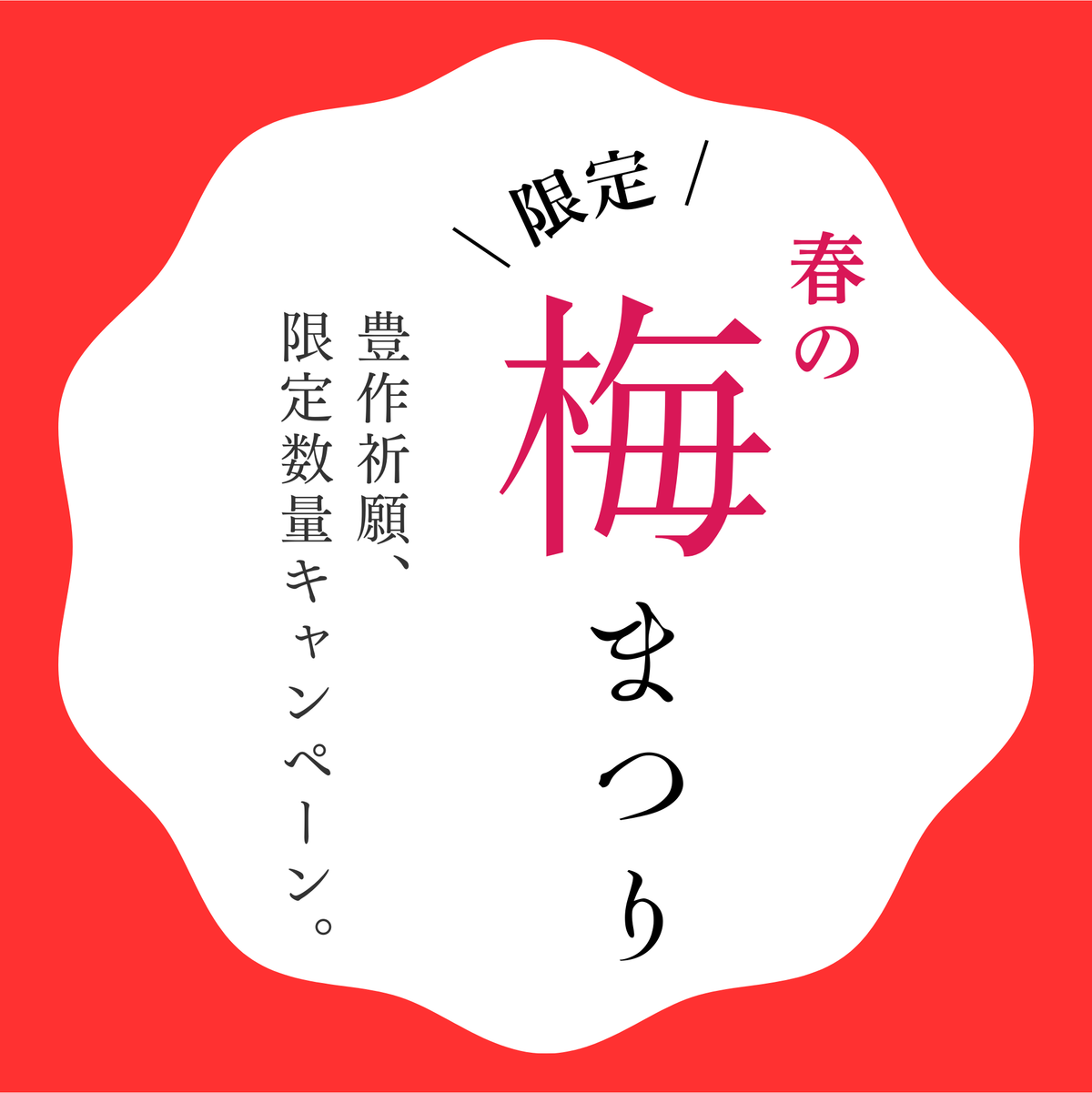 春の梅まつりキャンペーン！（期間限定：令和8年3月11日まで）
