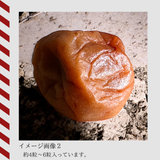 特務機関NERV指定 どんなときも99ウメボシ DTS-02