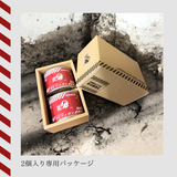 特務機関NERV指定 どんなときも99ウメボシ DTS-02